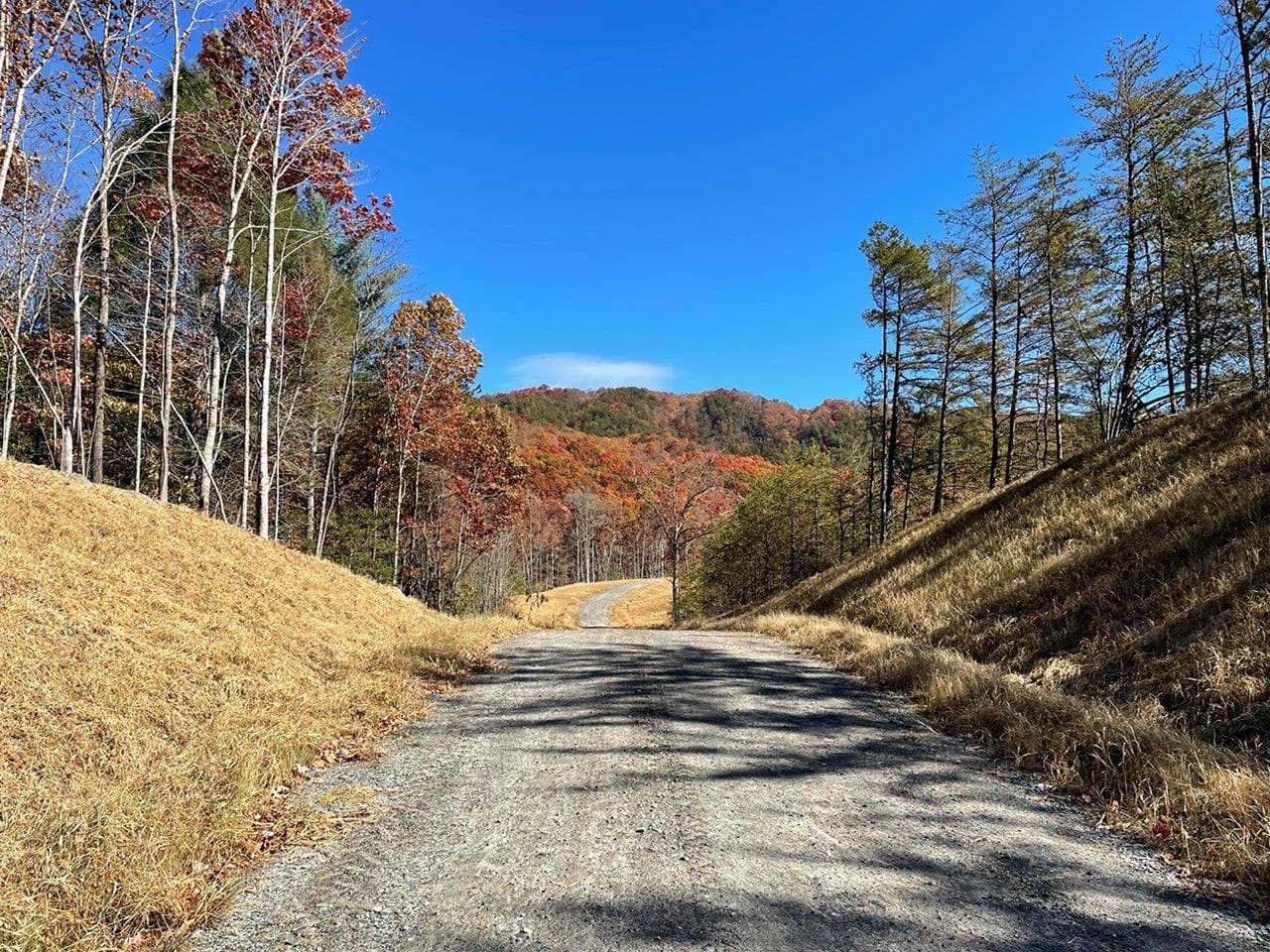 Tree-lined mountain road at Eagle Park in Murphy, NC